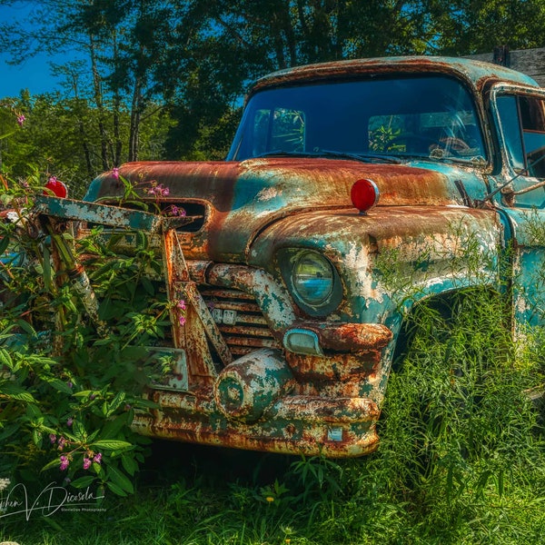 Old Blue Pickup Truck rusting in the weeds and flowers