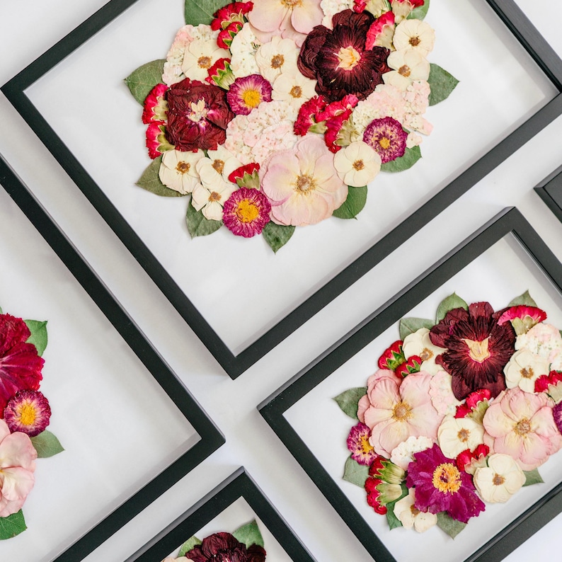 May include: A collection of rectangular black frames containing pressed flower arrangements. Each frame displays a variety of dried blossoms in shades of deep burgundy, soft pink, cream, and white, accented with green leaves on a white background.