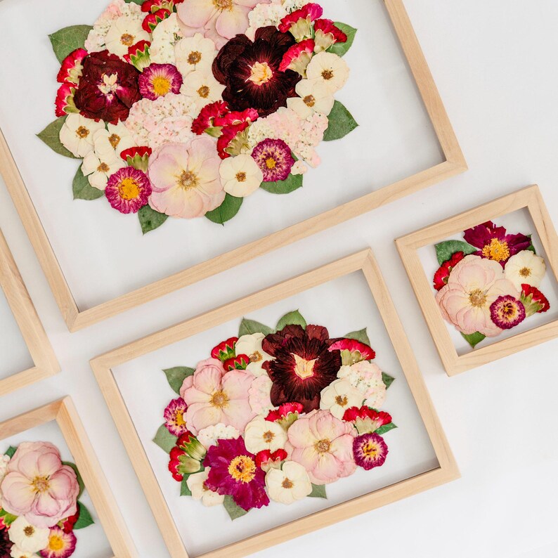 May include: A collection of four light-colored wooden frames containing pressed flower arrangements. The displays feature a variety of dried blossoms in shades of deep burgundy, soft pink, cream, and white, accented with green leaves on a clear background.