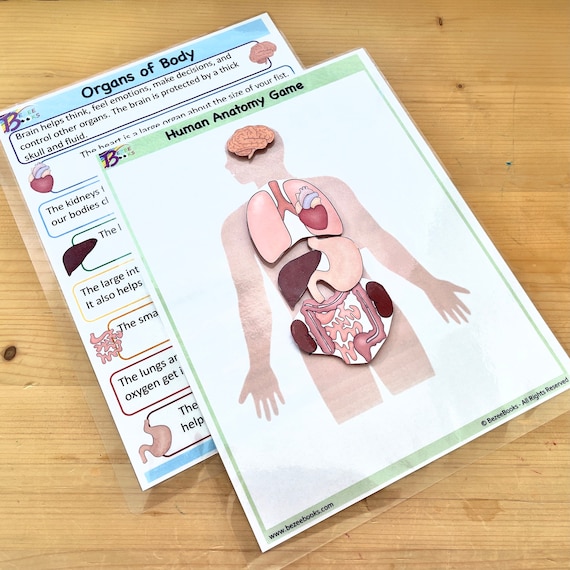 Human Anatomy Game Busy Book Learning Mats Kids Activity | Etsy