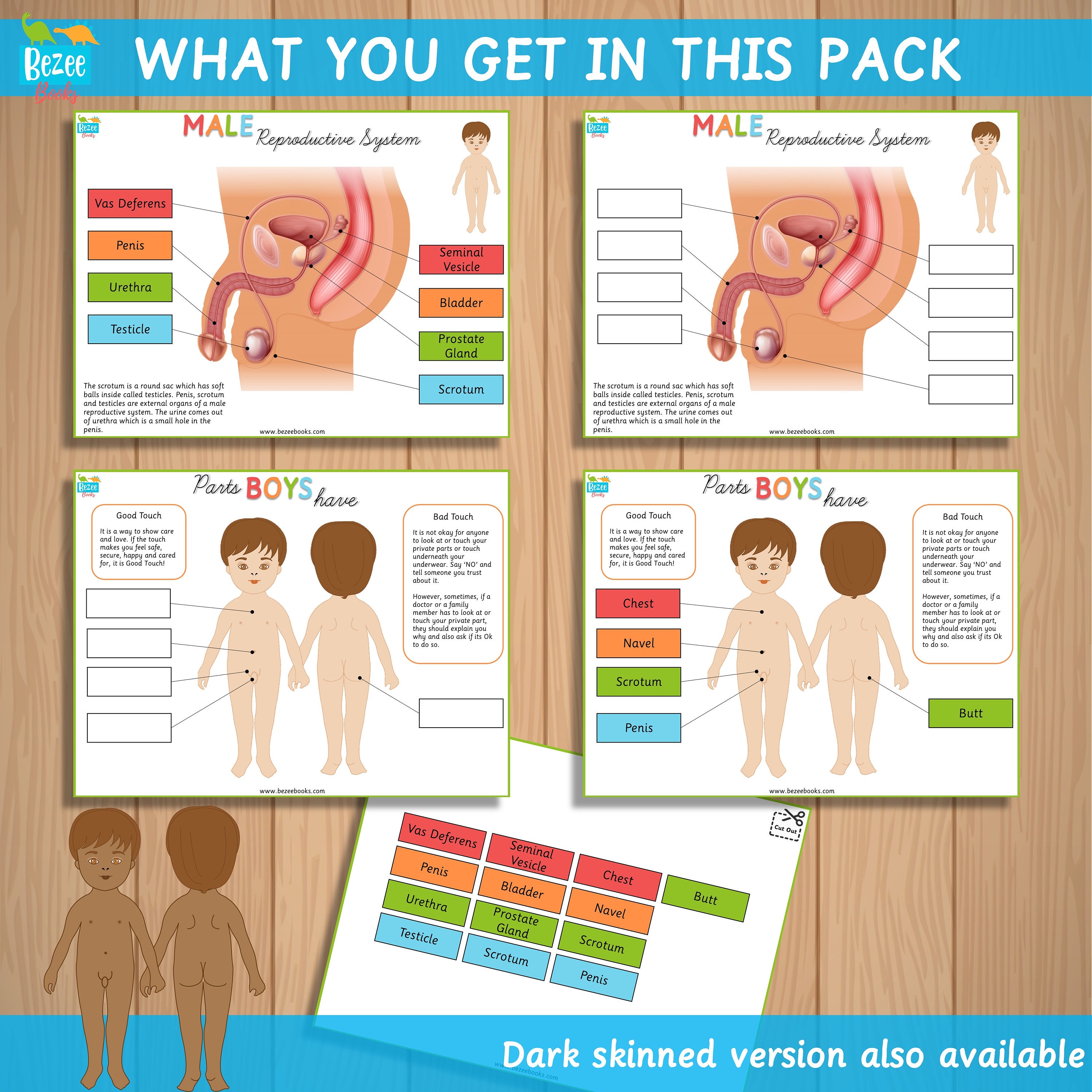 無修正　女性器解剖　図鑑 