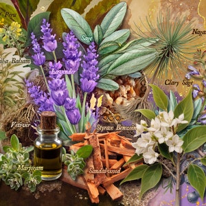 Custom artwork by maker, showcasing the natural ingredients in Earth solid perfume, including vetiver, sandalwood, clary sage, & balsams. The illustration reflects the earthy, smoky, & herbaceous nature of this bold & tenacious fragrance