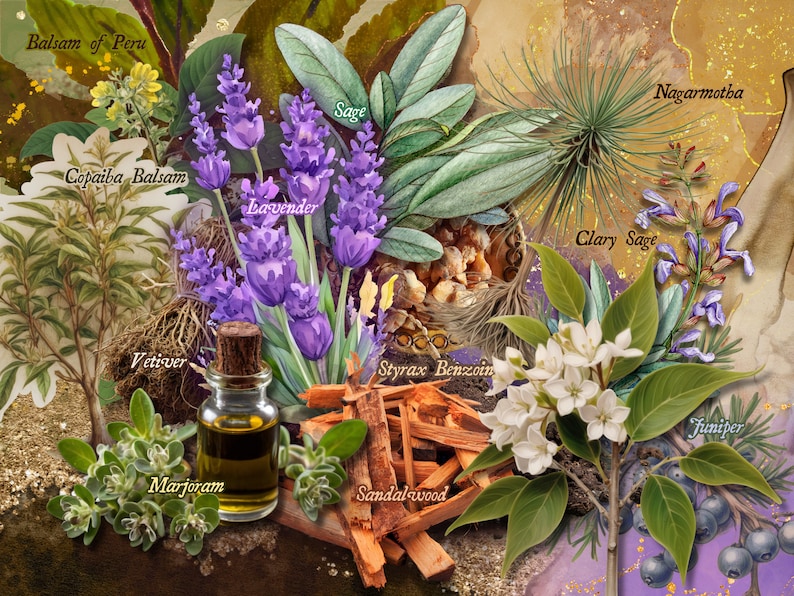 Custom artwork by maker, showcasing the natural ingredients in Earth solid perfume, including vetiver, sandalwood, clary sage, & balsams. The illustration reflects the earthy, smoky, & herbaceous nature of this bold & tenacious fragrance