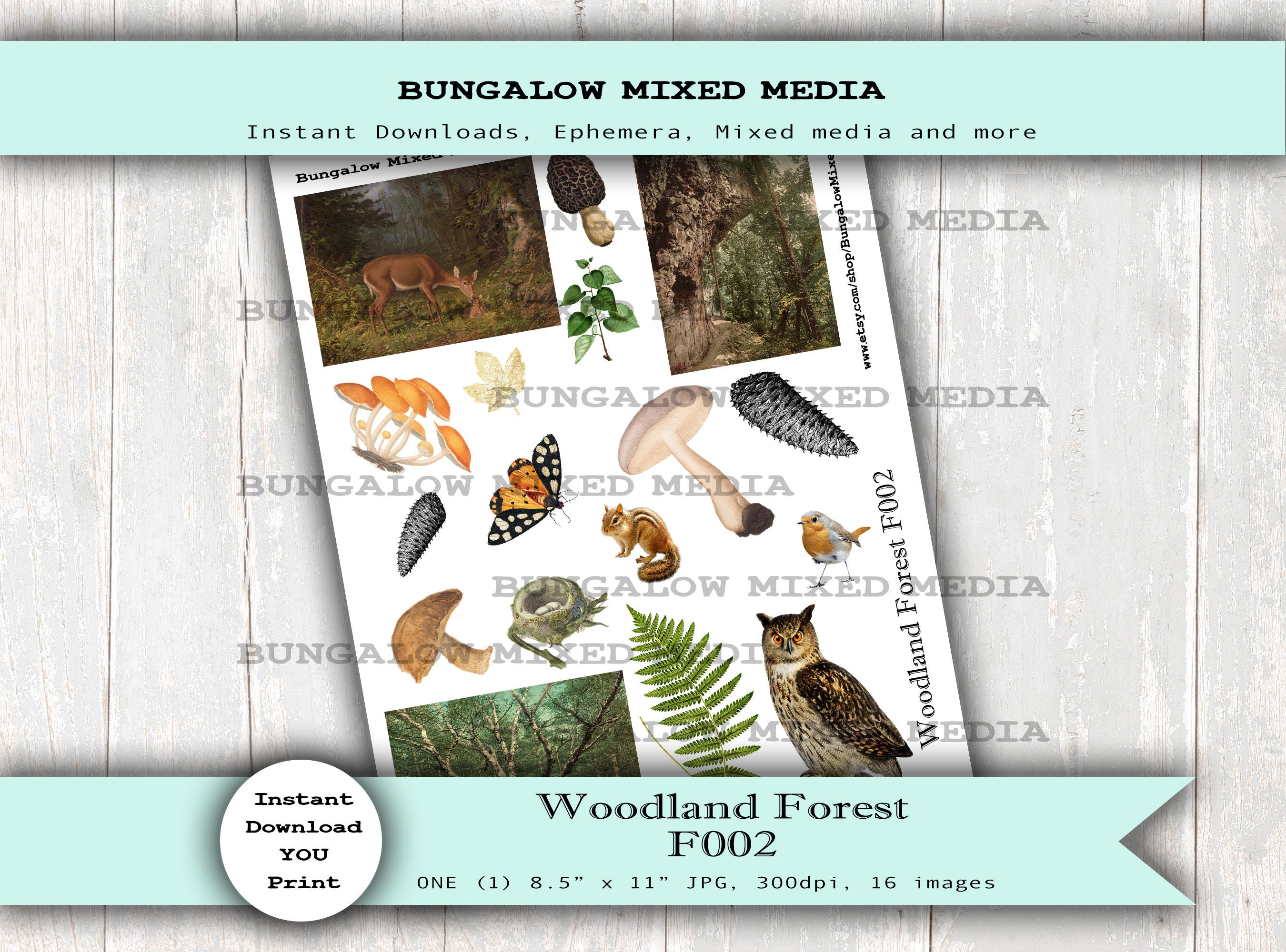 Woodland Forest F002 Nature Owl Mushrooms Butterfly Pinecone Bird Nest Vintage Collage Junk Journals