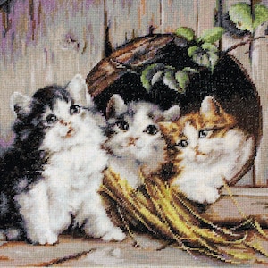 Cross Stitch Kit By Luca-S -  FRIENDLY SHELTER