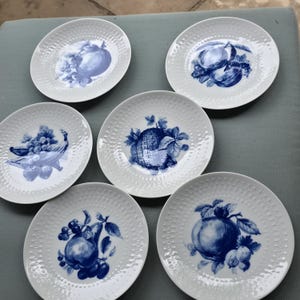 May include: A set of six white porcelain plates with a textured rim and blue fruit illustrations. Each plate features a different fruit design, including apples, pears, and grapes. The plates are arranged on a light blue surface.