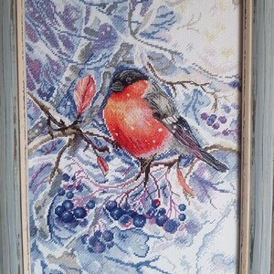 May include: Cross-stitch artwork of a red and gray bird perched on a branch with blue berries. The bird has a black head and is set against a backdrop of blue and white foliage. The artwork is framed in a light blue wooden frame.