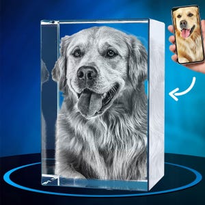 Photo avec cristal 3D ArtPix, cadeaux personnalisés pour chien, propriétaires d'animaux de compagnie, image gravée au laser 3D, amoureux des animaux de compagnie, cristal gravé à la mémoire d'un chien