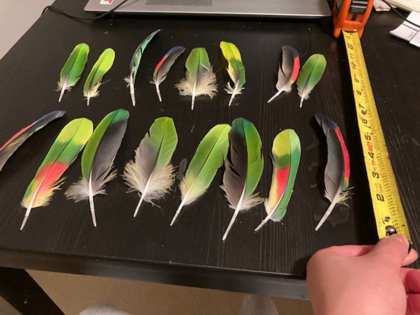 Amazon feathers Etsy