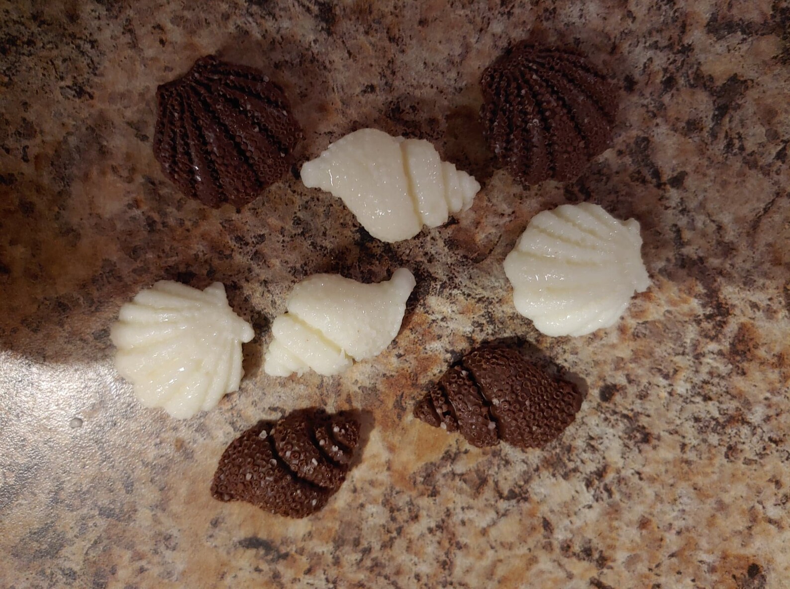 Coastal Sea Shell Themed Shaped Chocolates Etsy