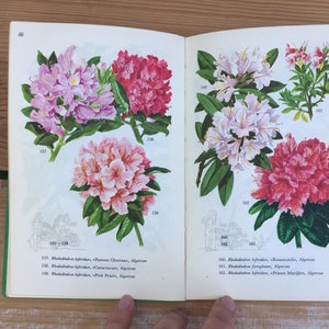 Vintage Garden Bush and Tree Guide Book | Color Illustrations | Politikkens Forlag 1957