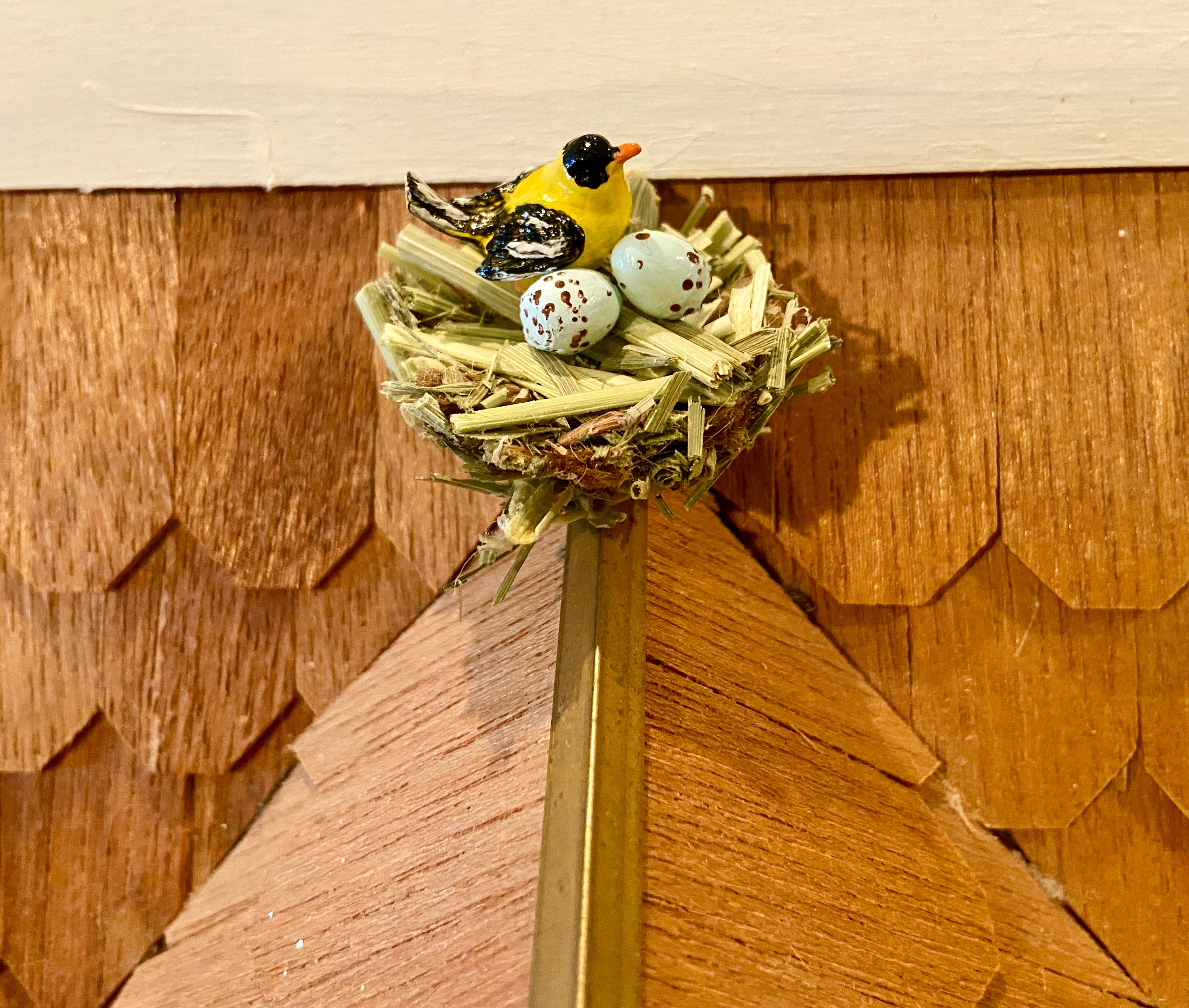 Miniature Birds Nest Etsy