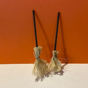 Miniature Broom