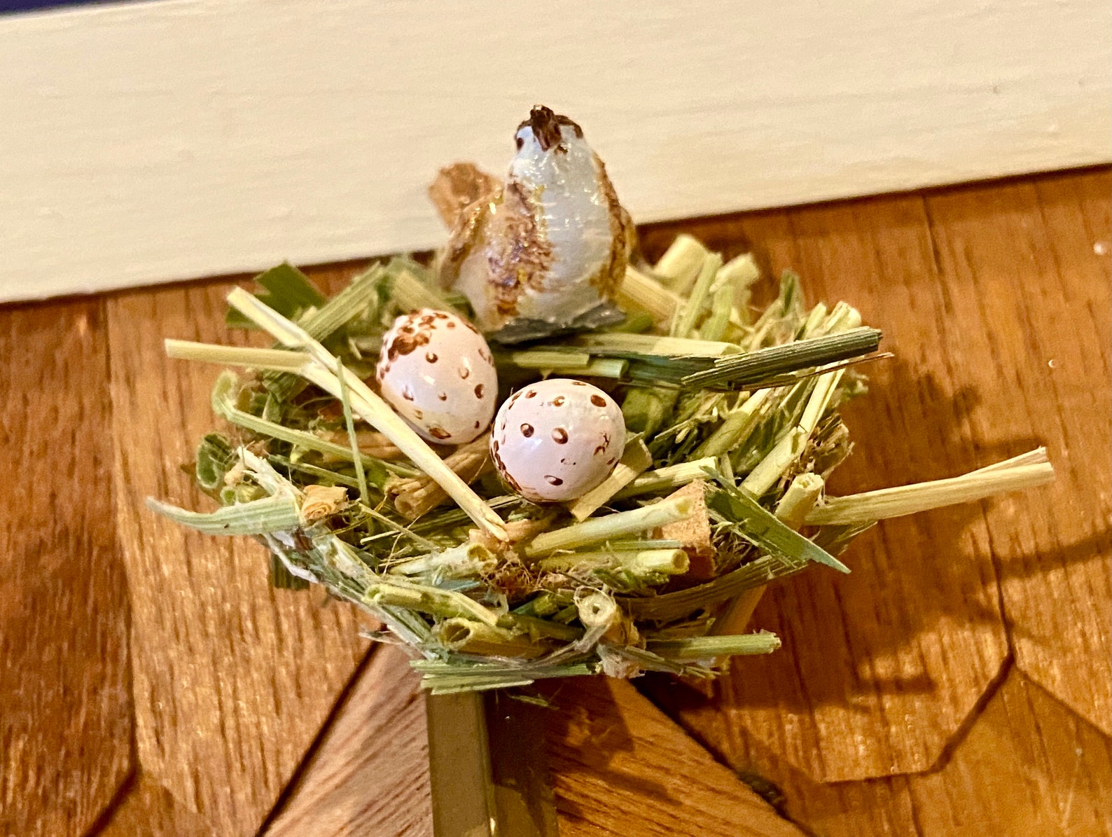 Miniature Birds Nest Etsy