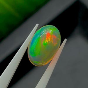 May include: An oval-shaped cabochon opal gemstone displaying a translucent body with vibrant flashes of green, blue, and orange play-of-color. The gemstone is held between the tips of a pair of white tweezers, showcasing its smooth, polished surface.