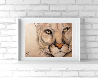 May include: A framed art print featuring a detailed colored pencil drawing of a mountain lion's face. The feline has golden eyes, a tan coat, and a distinct orange nose. The artwork is signed and dated 2020 in the lower left corner, presented in a white frame.