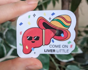 Cute Liver sticker/ Come On Liver Little/ Hepatology/ Medical Sticker/ 1.6 x 2.1" Waterproof Laminated Die-Cut Sticker