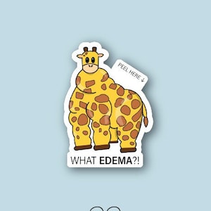 Giraffe 2025 scrub top
