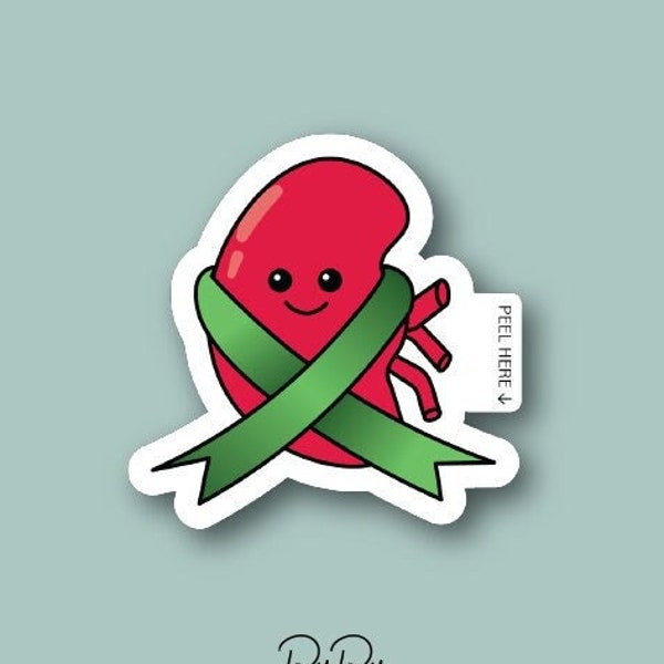 Cute kidney sticker/ Kidney Awareness /Kidney Disease/ Medical Sticker/ Waterproof Laminated Die-Cut Sticker