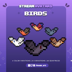 May include: A purple graphic with the text "STREAM AVATARS BIRDS" and pixelated bird illustrations in various colors. The graphic also includes the text "6 COLOR VARIATIONS | 10 ANIMATIONS | 20 GEAR PIECES" and social media handles.