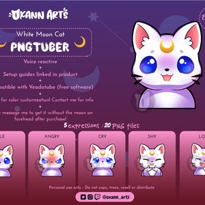 WHITE MOON Cat PNGtuber Model | Cute Stream Mascot 5 Expressions for OBS or Streamlabs | Kitten Twitch Streamer, Vtuber, V-tuber