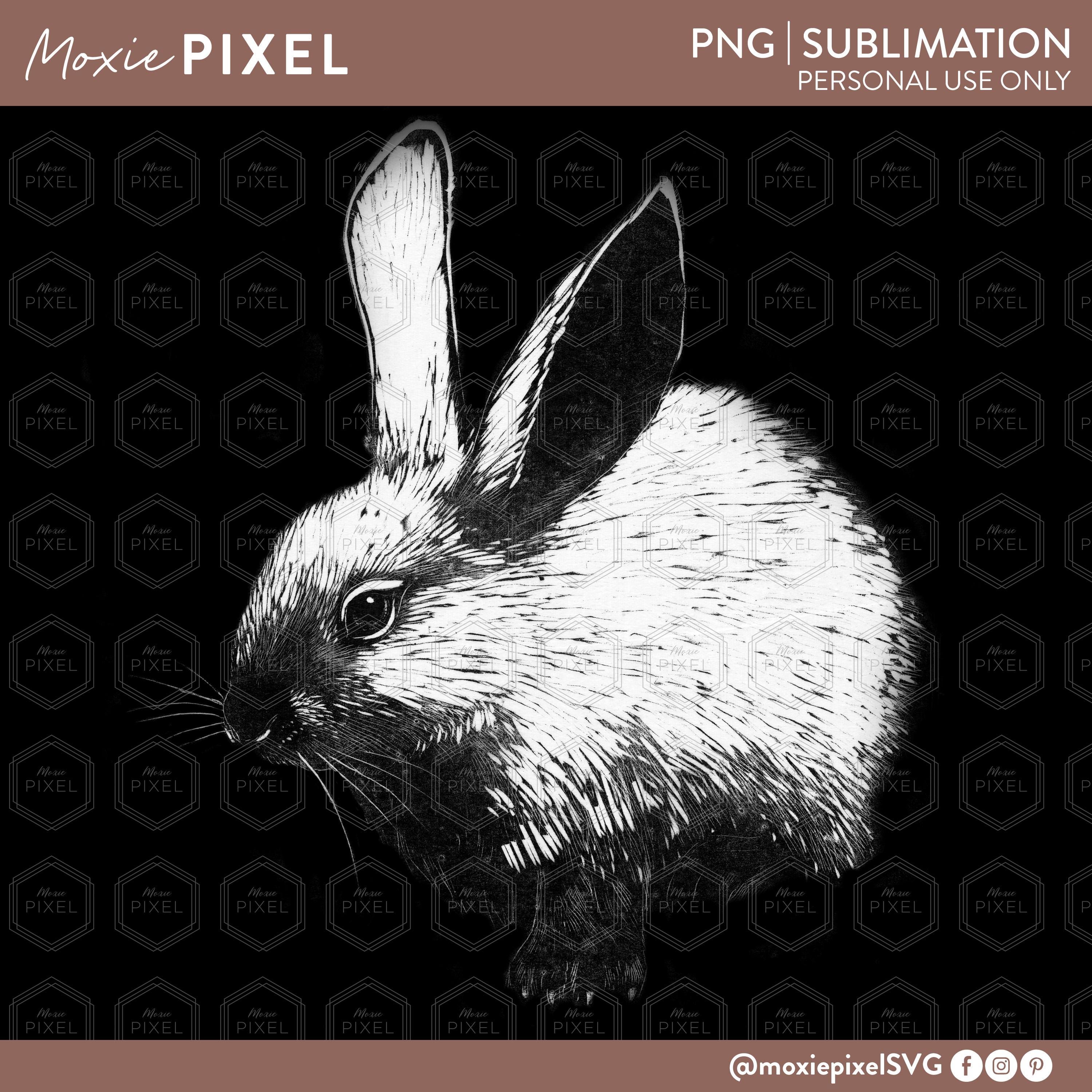 Rabbit PNG, White Bunny Drawing Etching (digital Download) - Etsy