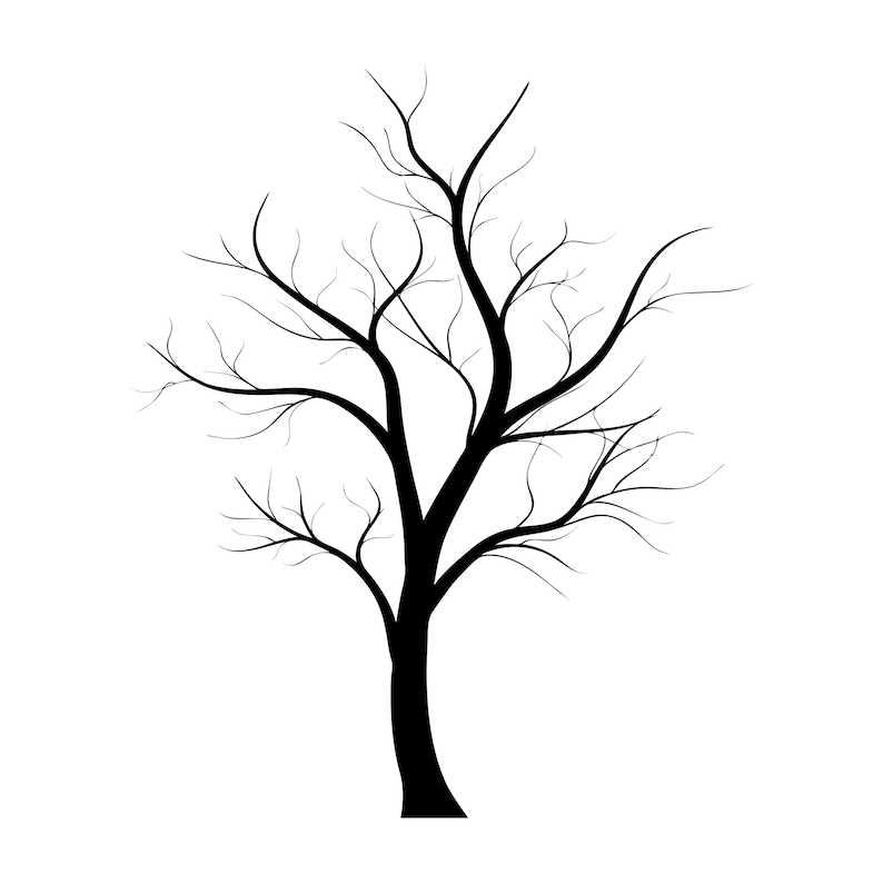 Download Bare tree svg tree with no leaves silhouette tree svg | Etsy