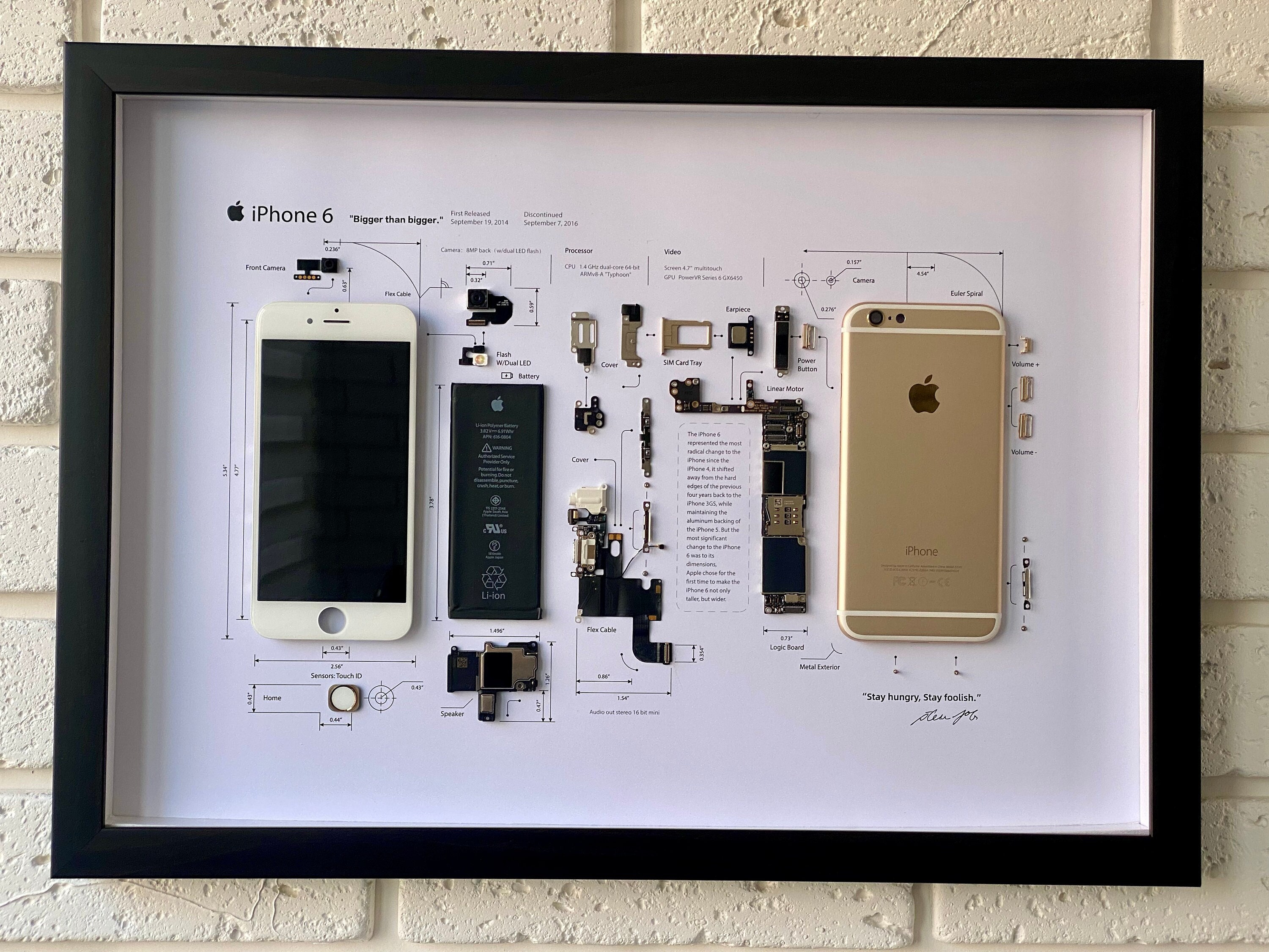 iPhone SE GOLD 標本アート ボックスフレーム仕様 iPhone SE GOLD 標本アート ボックスフレーム仕様