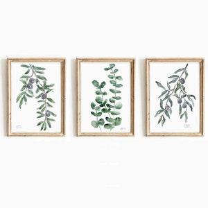 Botanical Watercolor Prints: Olive Branch & Eucalyptus Set (Digital Download)