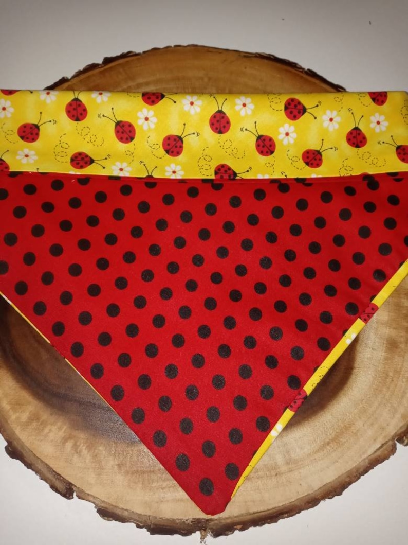 Reversible lady bug dana