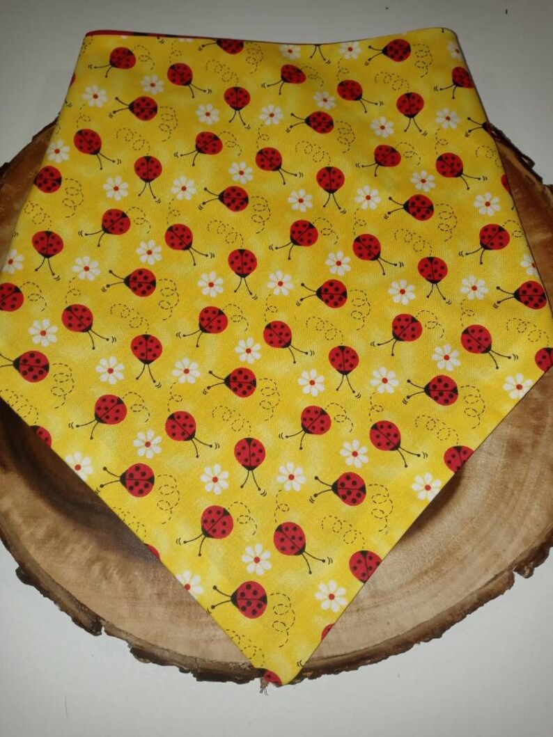 Reversible lady bug dana