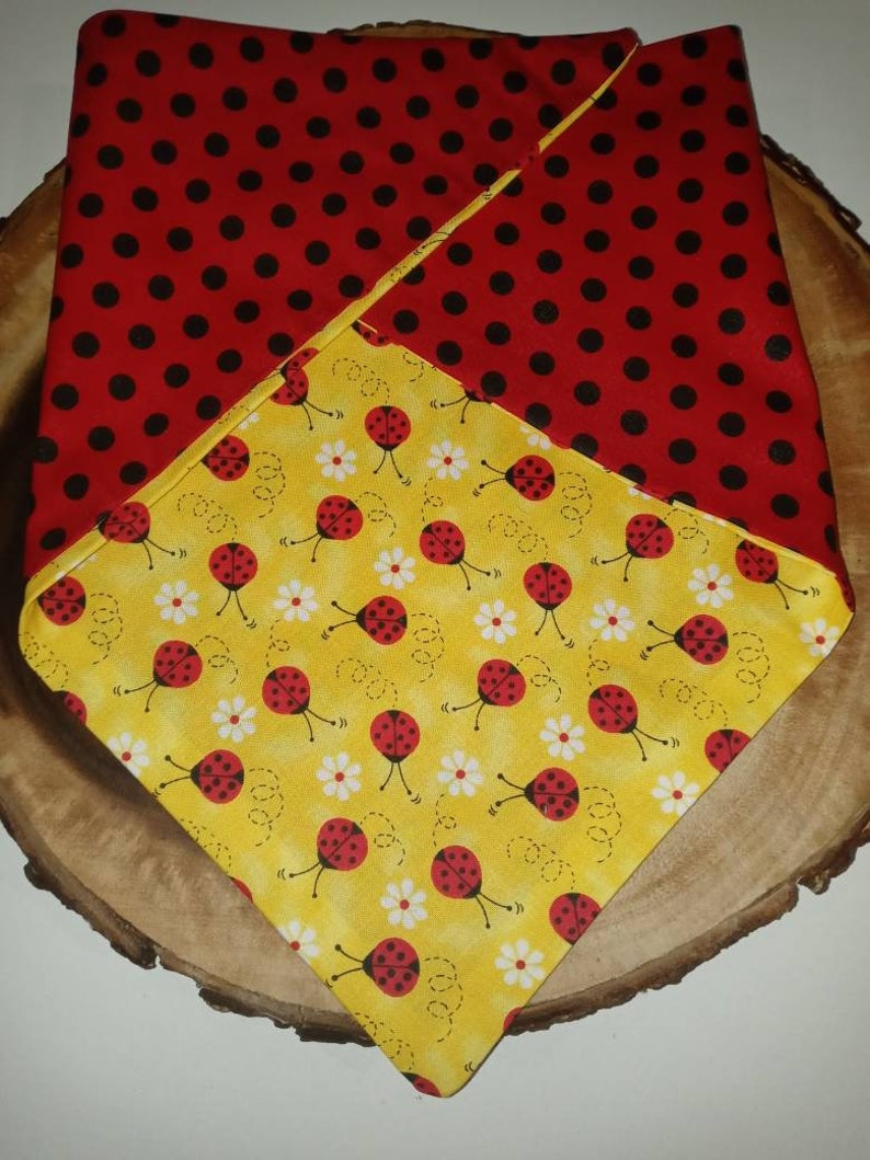 Reversible lady bug dana