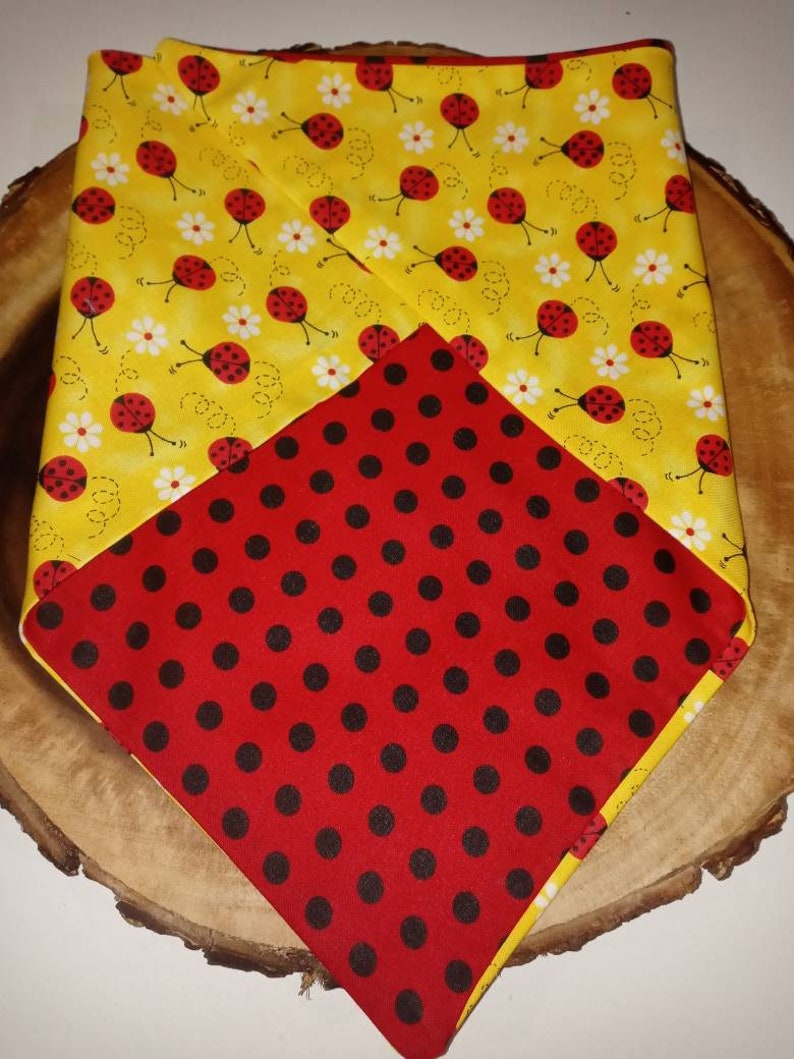 Reversible lady bug dana