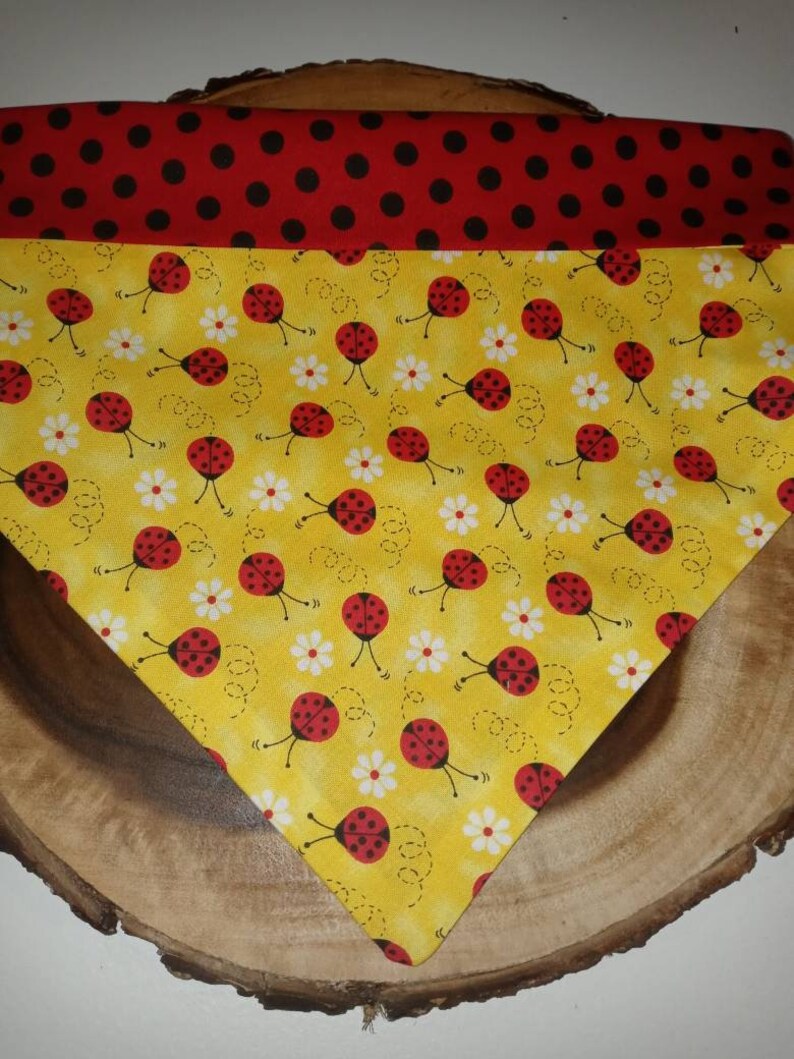 Reversible lady bug dana