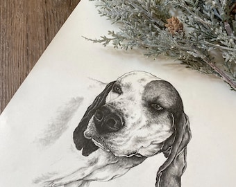 Custom Hand sketched Pet Portrait / personalized pet memorial Christmas gift  / animal lover gift/ pencil drawing of pet/ racoon dog