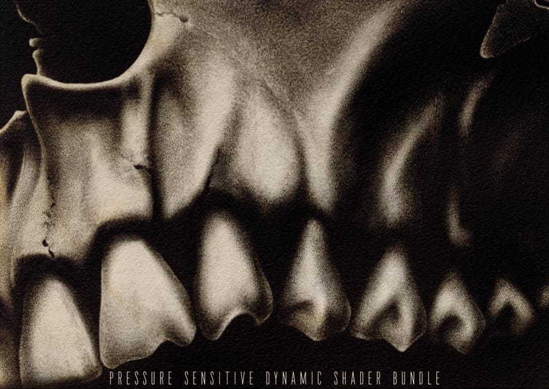 May include: Close-up of a detailed drawing of a skull with teeth. The drawing is in shades of gray and black, creating a realistic and slightly eerie effect. The text "PRESSURE SENSITIVE DYNAMIC SHADER BUNDLE" is at the bottom of the image.