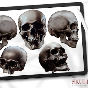The skull project, 200+ custom made designs for Procreate