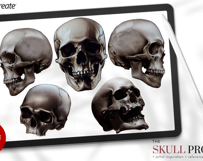 The skull project, 200+ custom made designs for Procreate