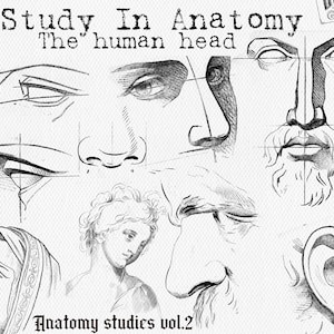 Anatomihuvudreferenspenselstämplar: Procreate Artist Resource