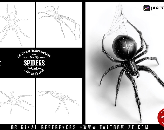 Procreate, Artist Reference Library ~ Spider references, original art for Procreate, artistic references, 100 spiders png, svg & Procreate