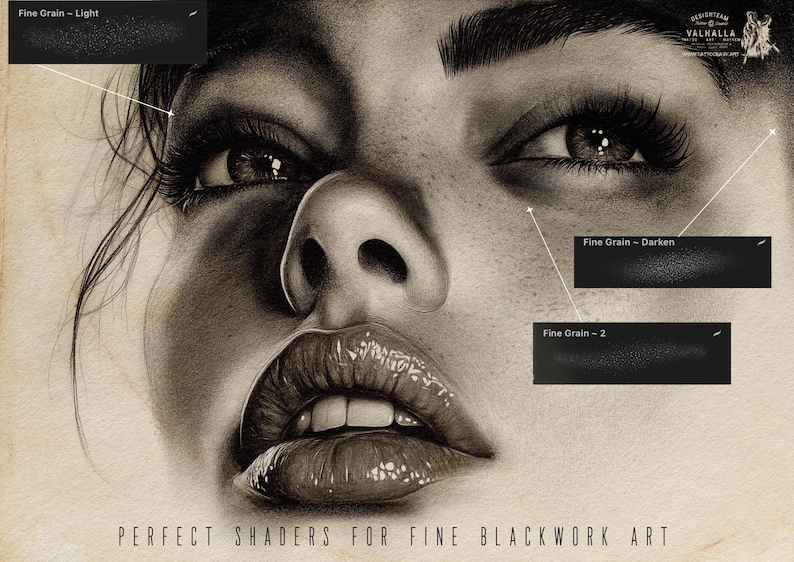 May include: A black and white illustration of a woman's face with a focus on the eyes and lips. The image is labeled "PERFECT SHADERS FOR FINE BLACKWORK ART" and "VALHALLA".