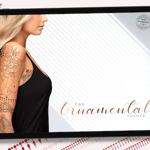 The ornamental folder vol.1 & vol.2 ultimate, over 300 elements(!) tattoo artist ornament brushes for Procreate