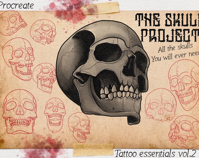 100+ outlined Skulls collection , all the skulls you will ever need! Pdf and update included, custom designs for Procreate