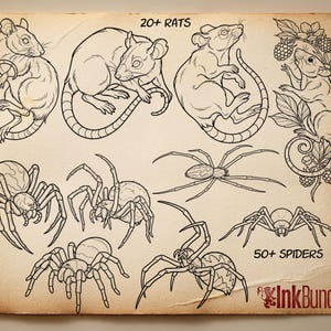 May include: A collection of black and white illustrations of rats and spiders. The image includes the text "20+ RATS" and "50+ SPIDERS". The illustrations are in a vintage style, with detailed linework.
