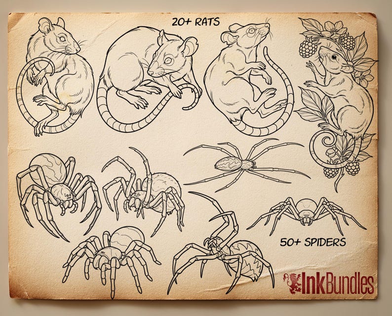 May include: A collection of black and white illustrations of rats and spiders. The image includes the text "20+ RATS" and "50+ SPIDERS". The illustrations are in a vintage style, with detailed linework.