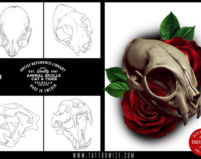 Procreate and .png, Artist Reference Library ~ Animal skull references, original art for Procreate, 100+ designs,cats, tigers & sabre tooth