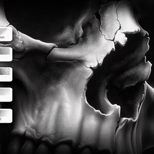 May include: A close-up of a black and white skull illustration with a textured surface. The skull is drawn with different shades of gray to create a realistic look. The image shows the detail of the skull's bone structure.