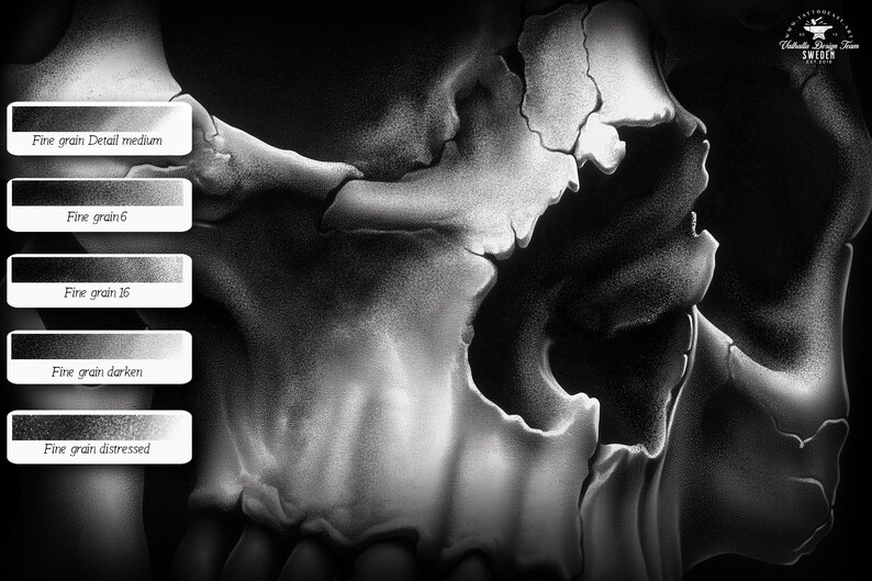 May include: A close-up of a black and white skull illustration with a textured surface. The skull is drawn with different shades of gray to create a realistic look. The image shows the detail of the skull's bone structure.