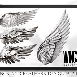 Wings & feathers design bundle, 100+ unique designs + textured brushes for Procreate