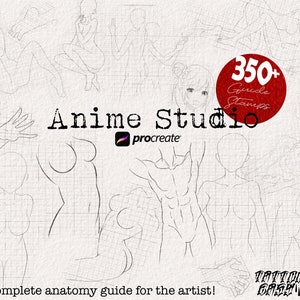 The Anime Studio bundle / 350-400 guide anatomy stamp brushes, XXL creative set!